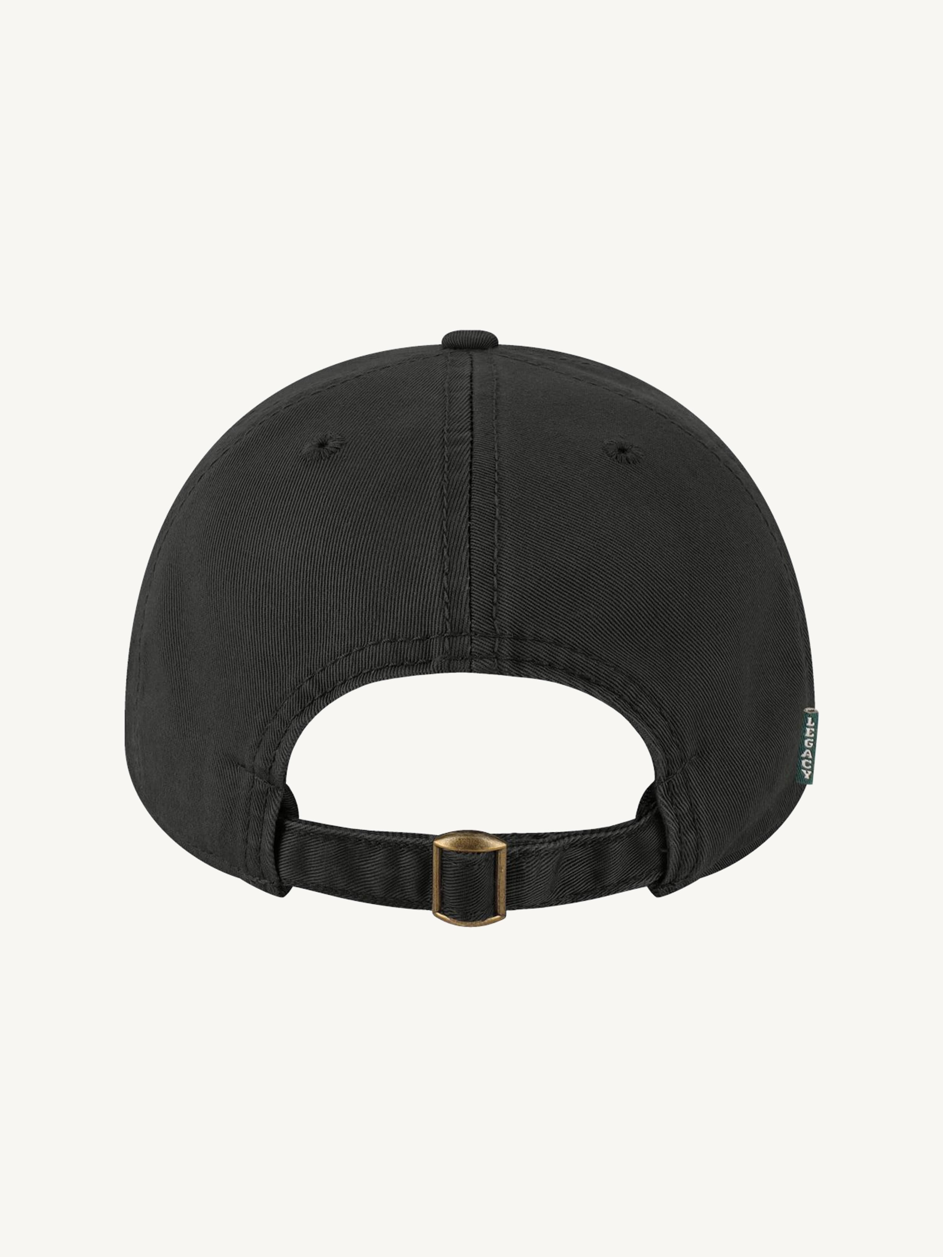 Classic Dad Hat view 2