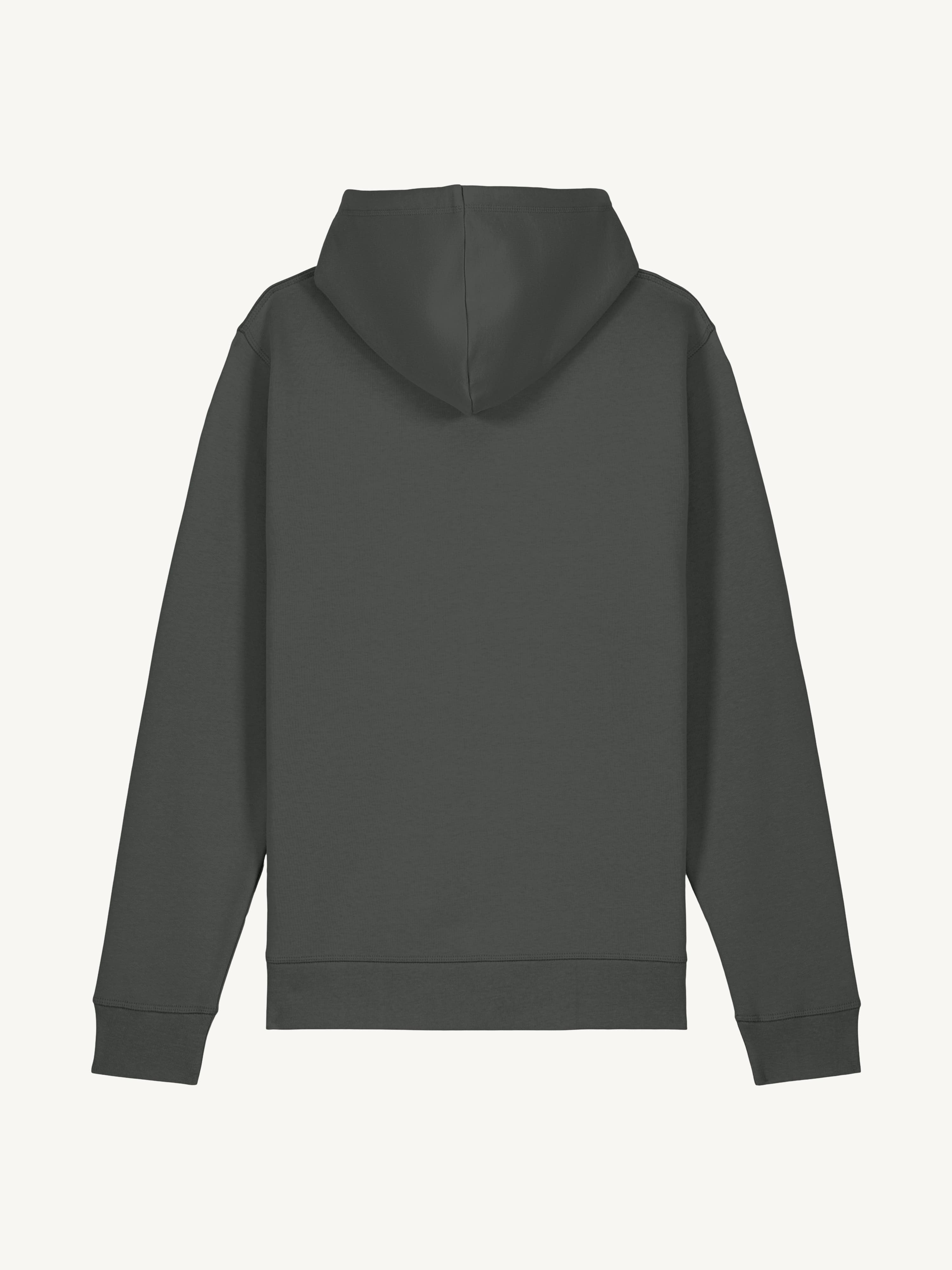 Lightweight Hoodie view 2