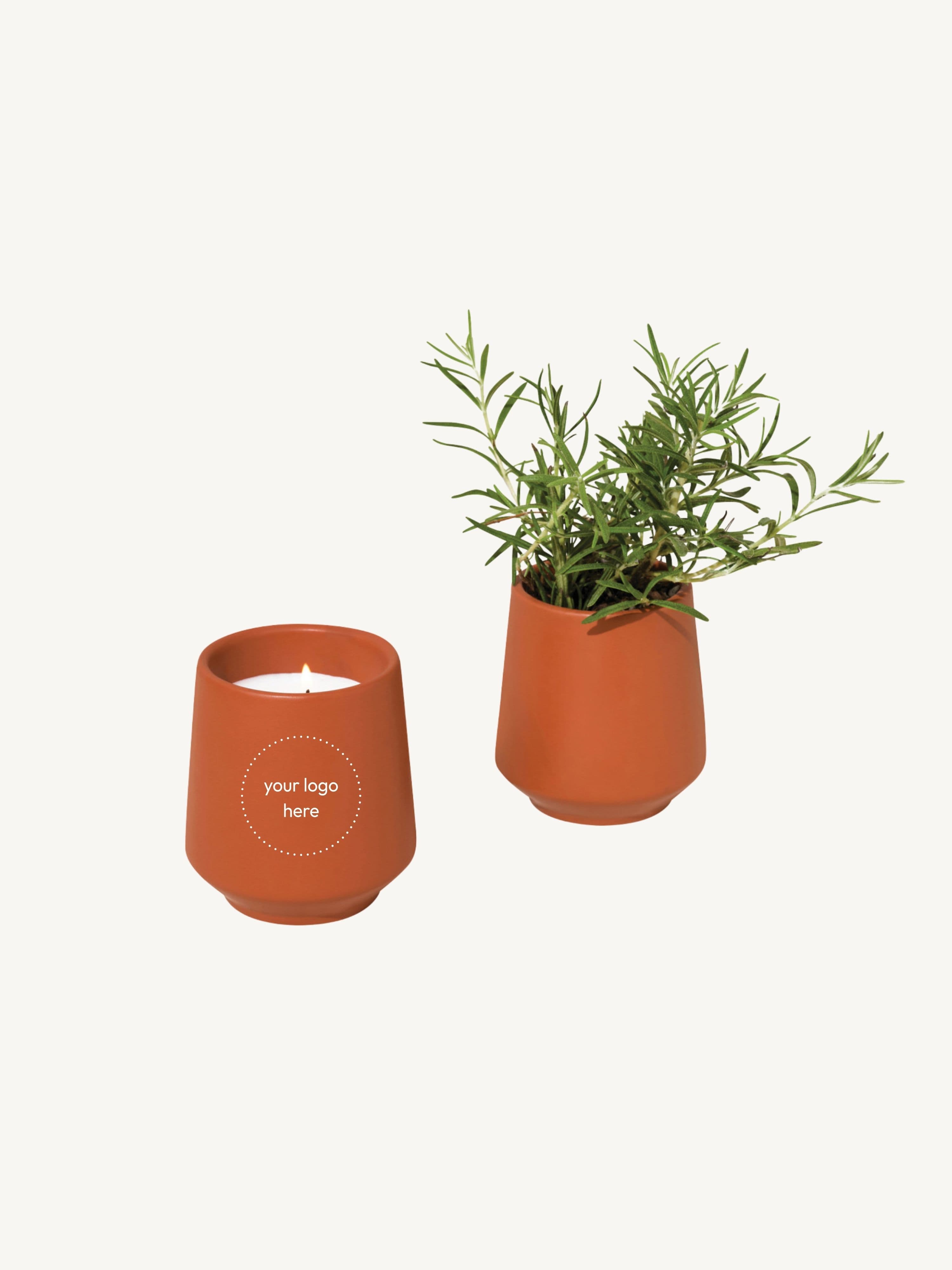 Modern Sprout Rooted Candle