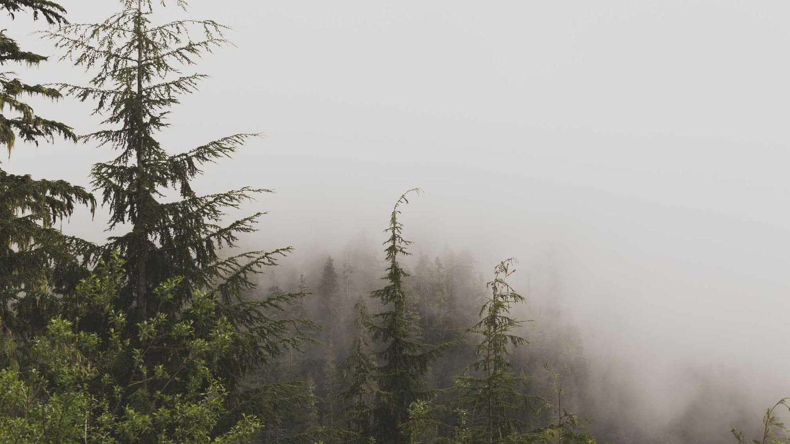 Artwork Guidelines: Print-Ready in Minutes cover image