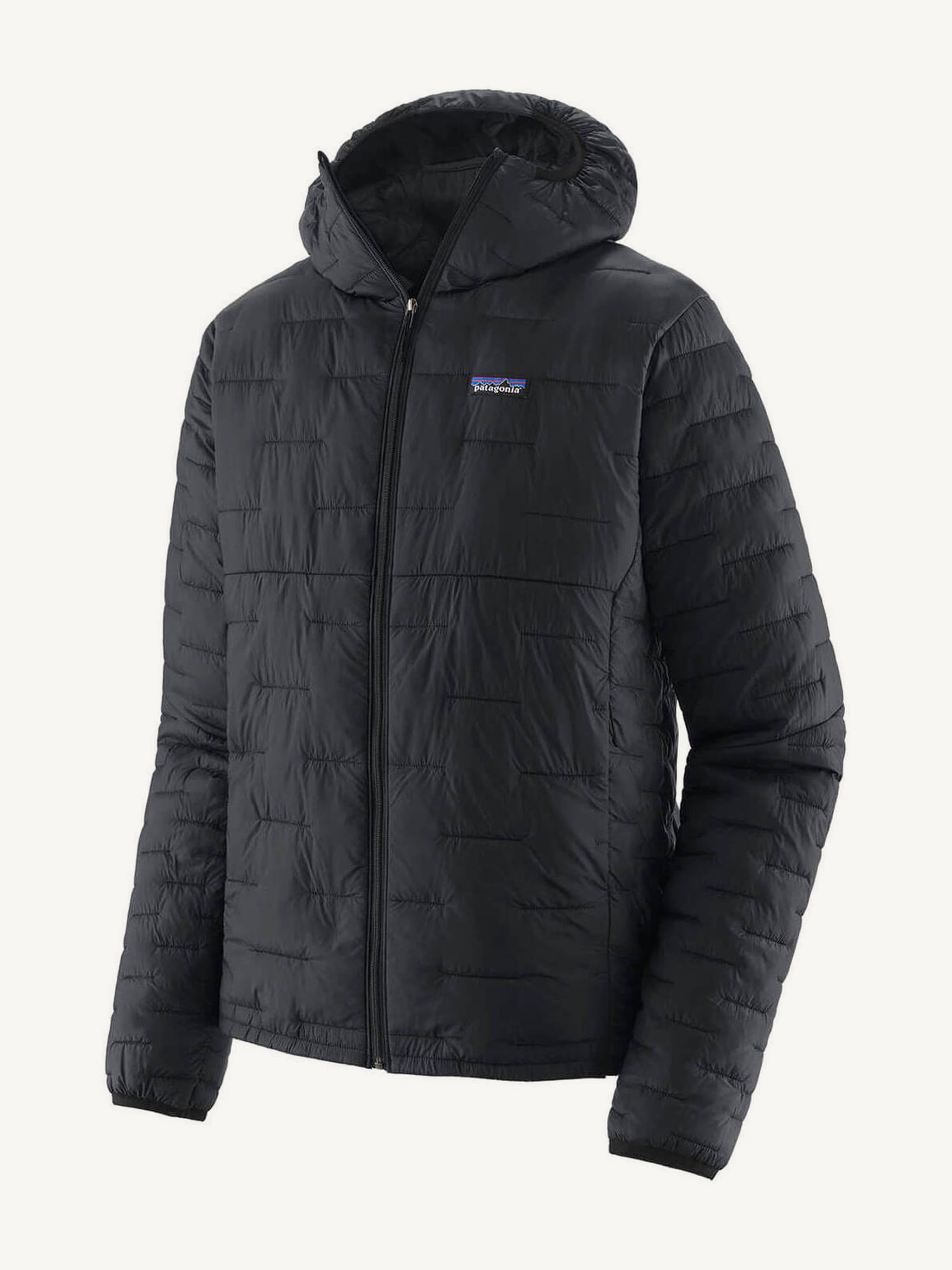 Patagonia Men's Micro Puff Hoody
