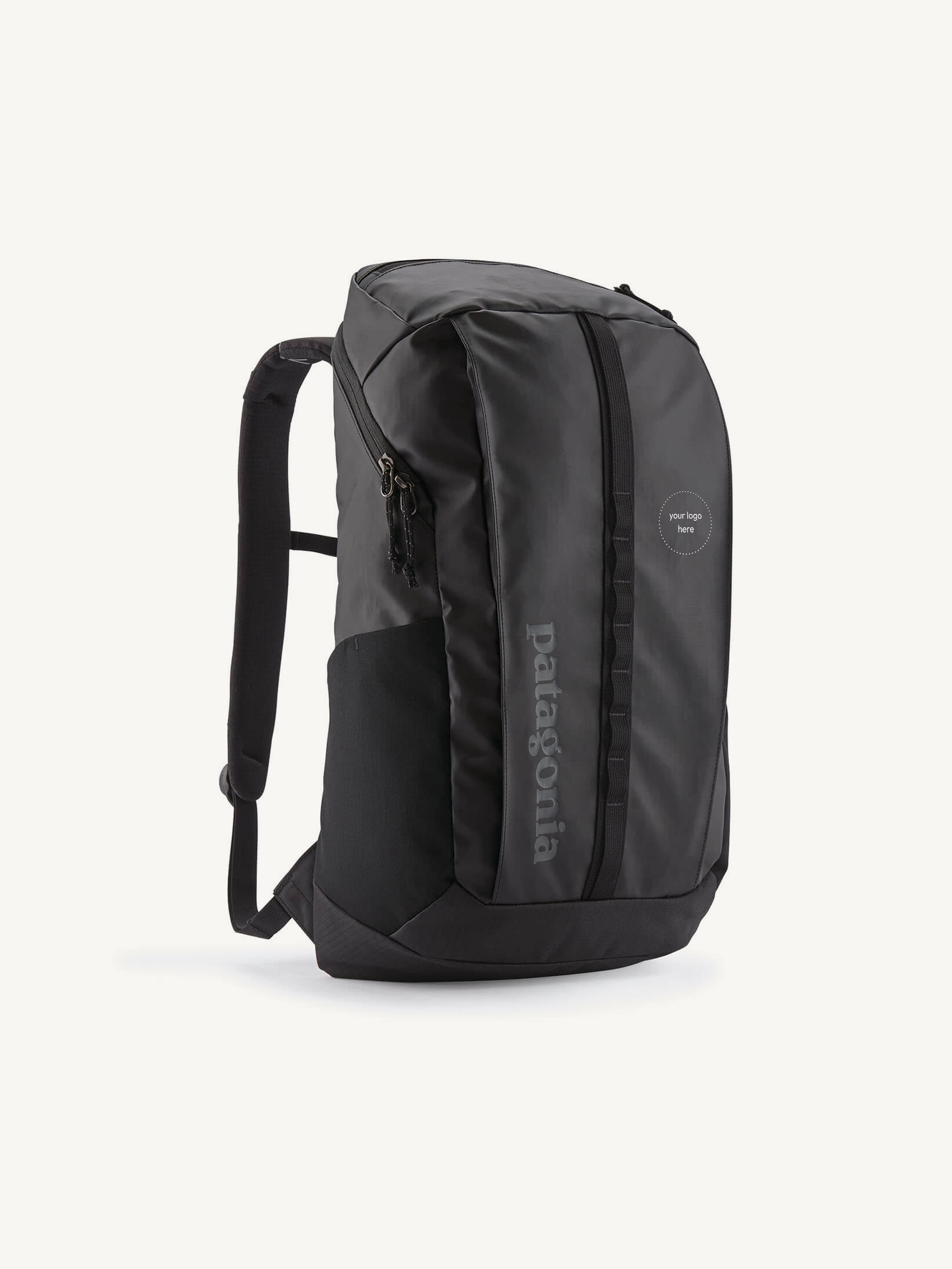 Patagonia Black Hole Pack 25L