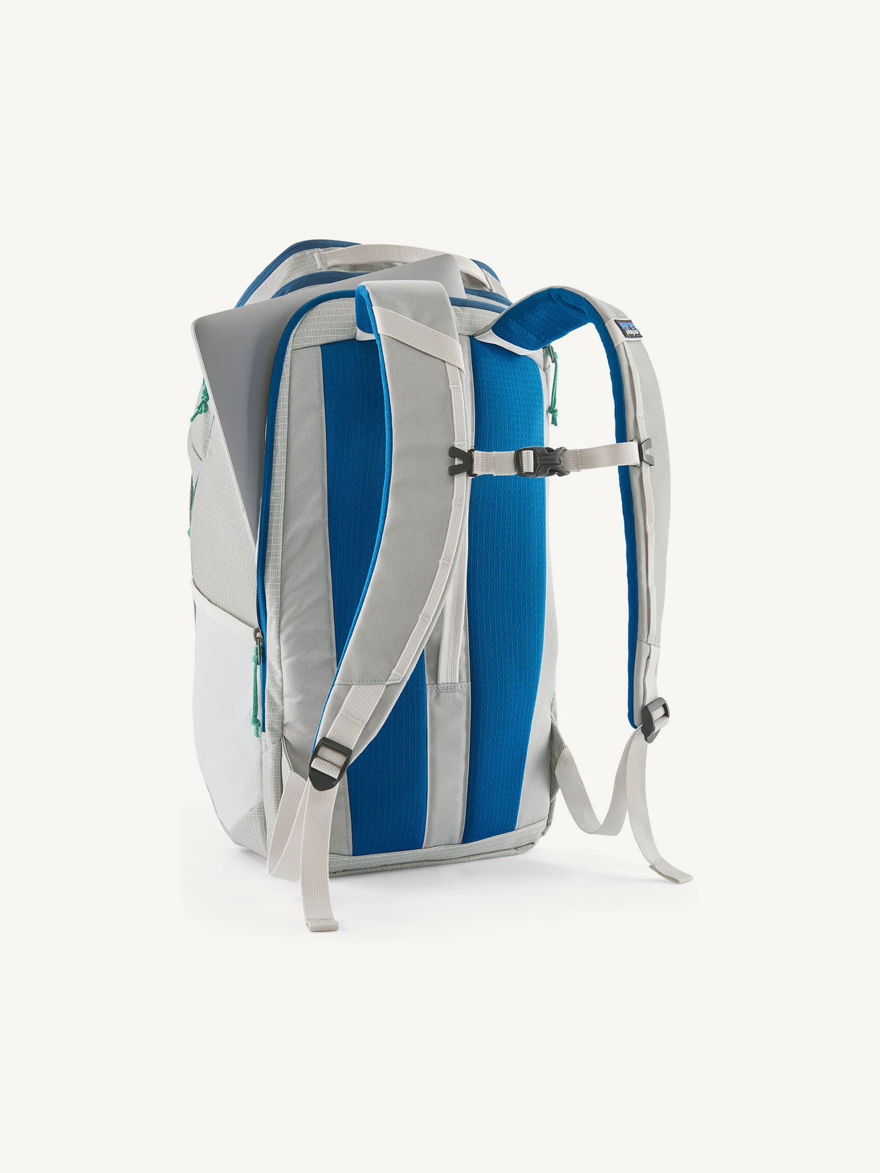 Patagonia Black Hole Pack 32L