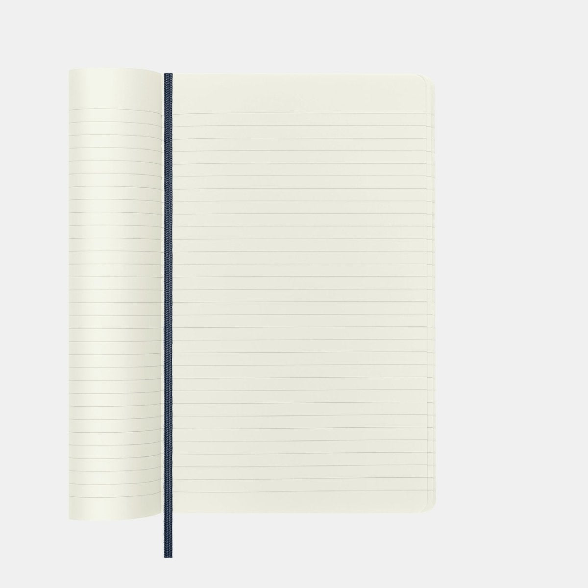 Moleskine Softcover Notebook